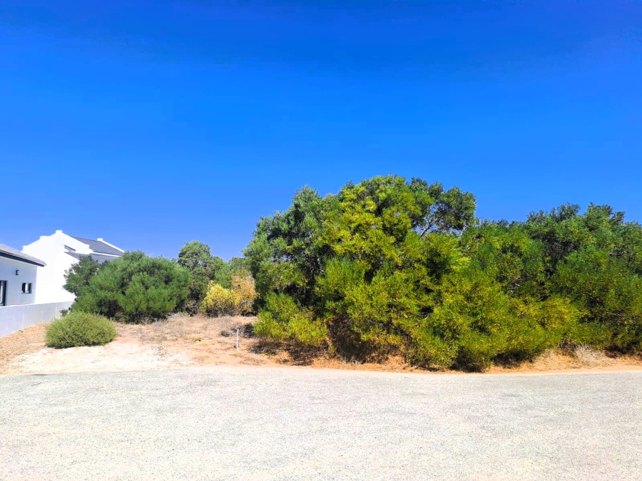 0 Bedroom Property for Sale in Shelley Point Western Cape